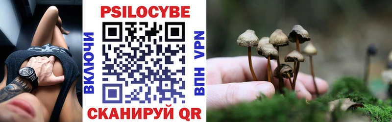 цены   Пенза  Галлюциногенные грибы мухоморы 